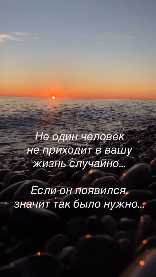 KARABURMA RULES @Z FURIABIBI tweet media