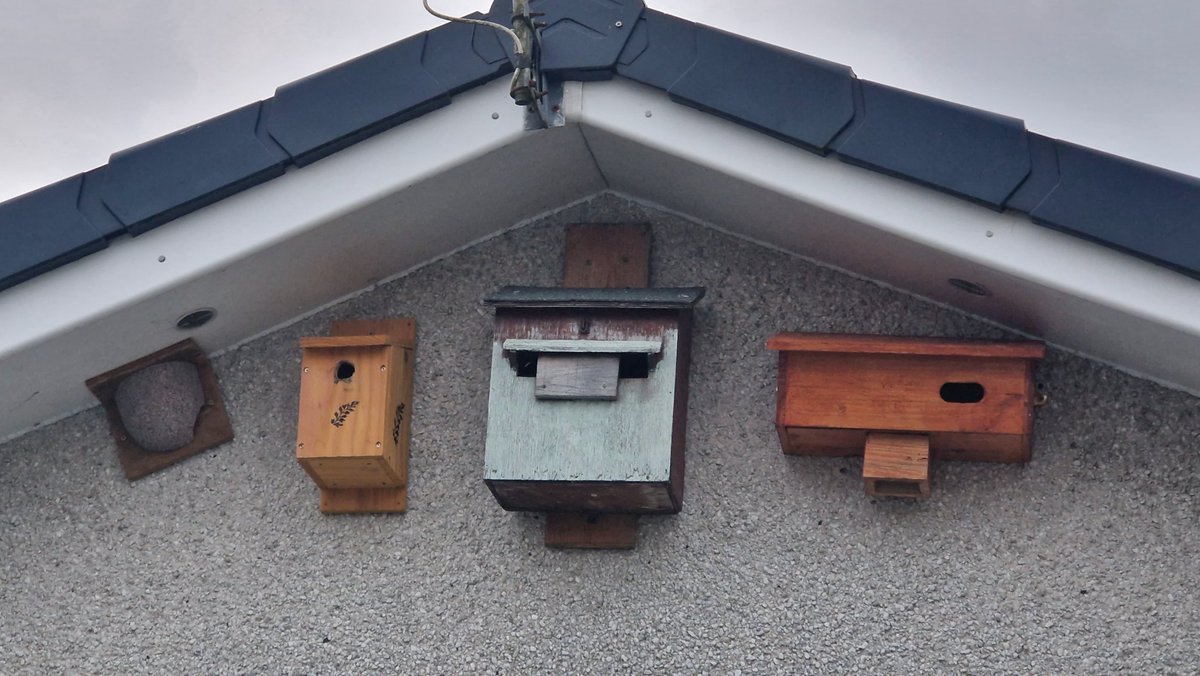 Barry ODowd tweet media