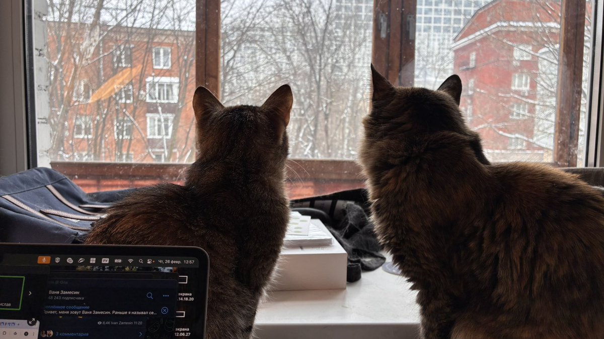 Оля Королёва tweet media
