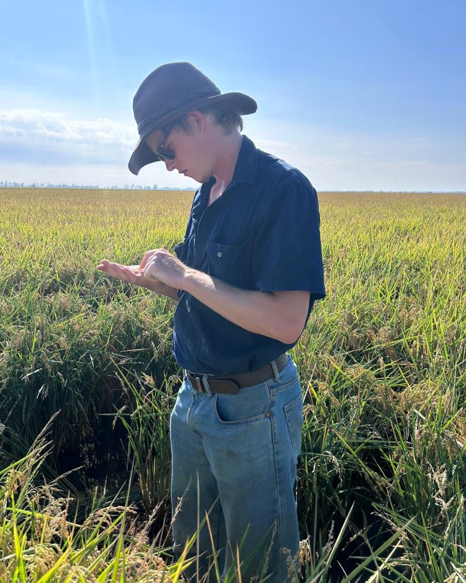 Rice Extension tweet media