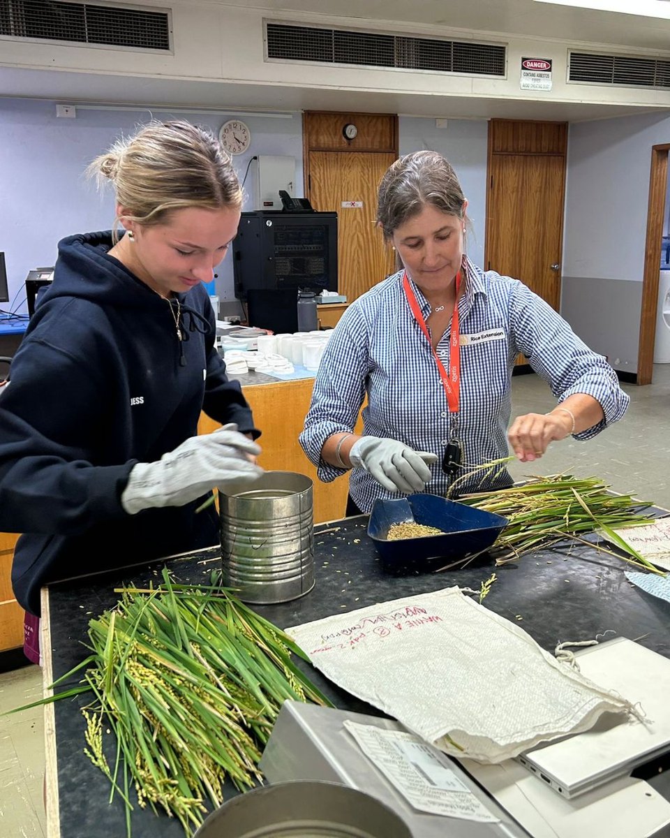 Rice Extension tweet media