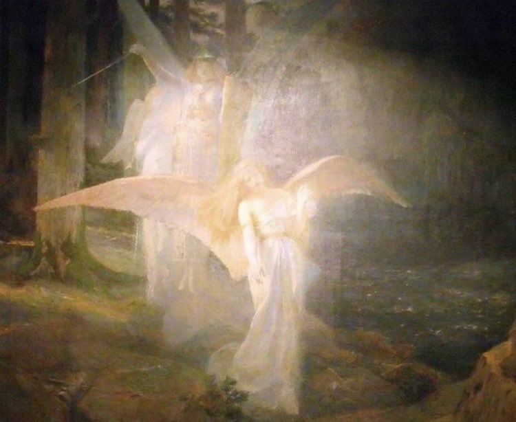 Tea čozy 🍊 tweet media