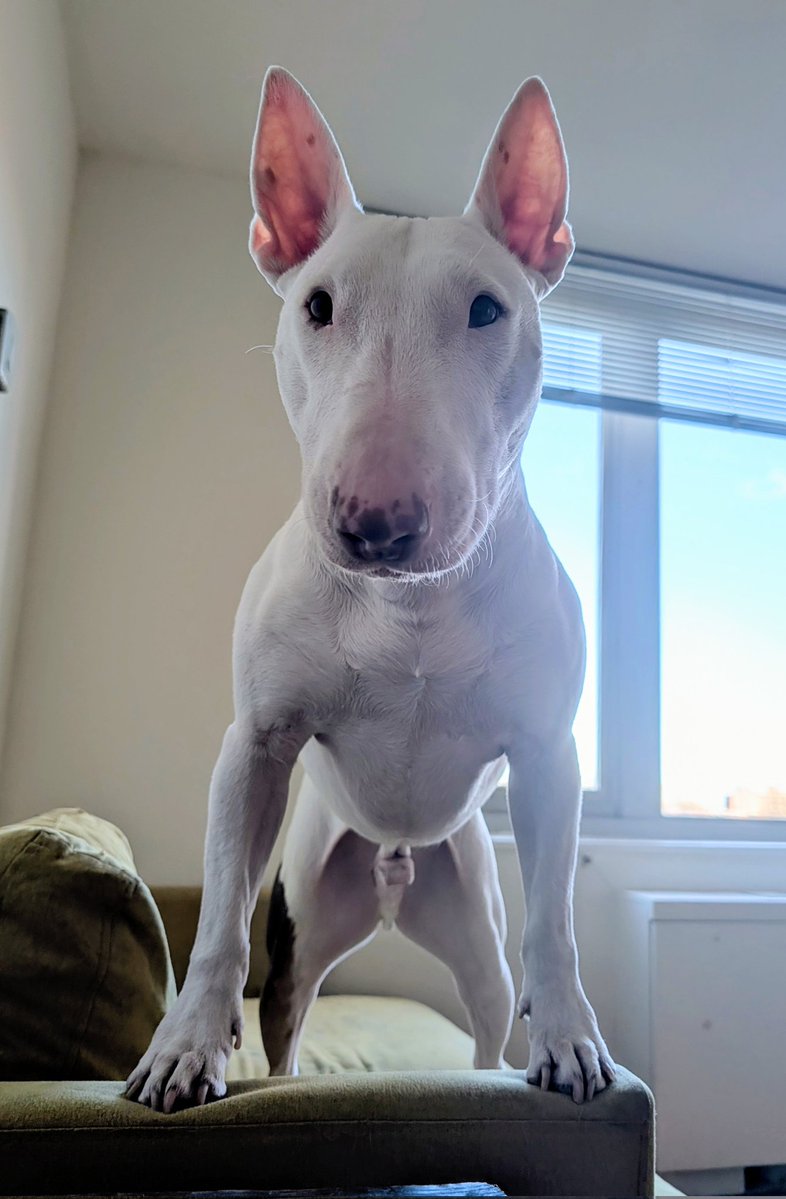 Goofy Foot 🌱🕉 tweet media