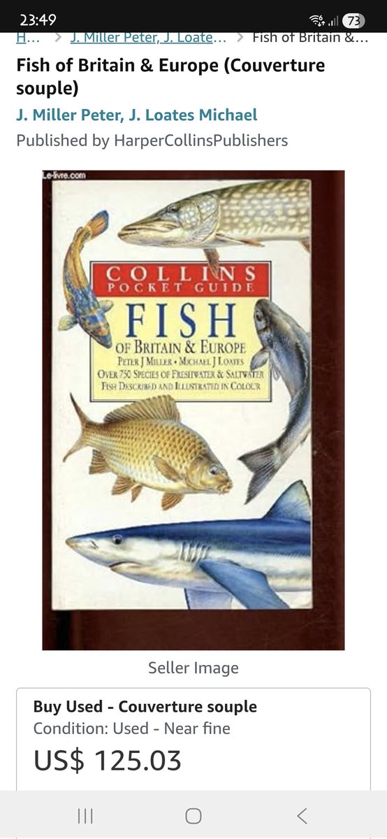 Руна 🌻 tweet media