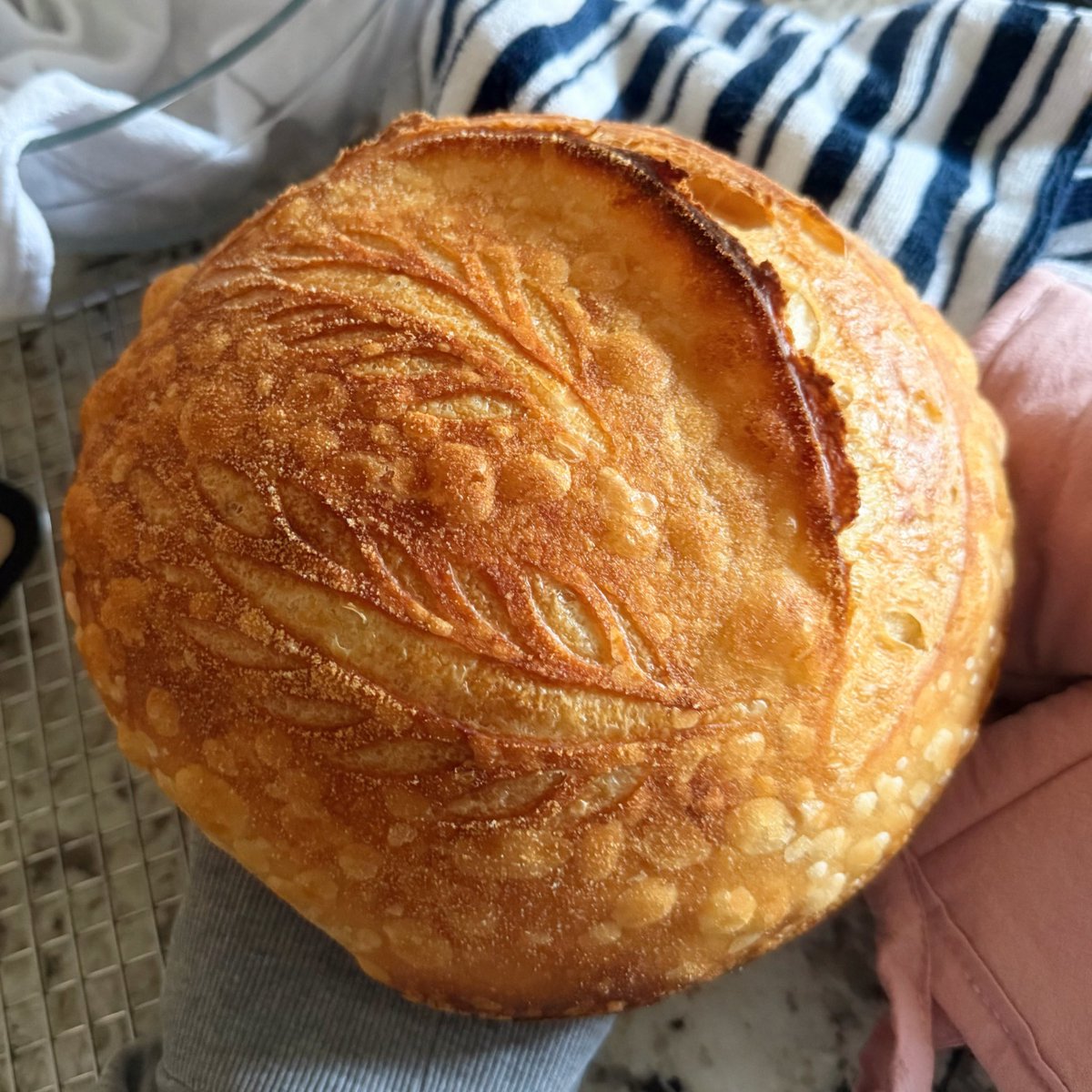 Ember Amane ❤️‍🔥🐈‍⬛ Phase-Connect tweet media