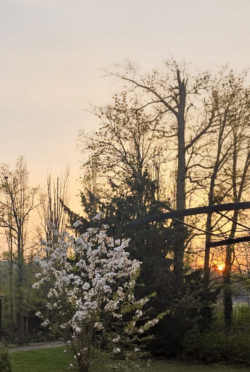 Hanna 🍉 tweet media