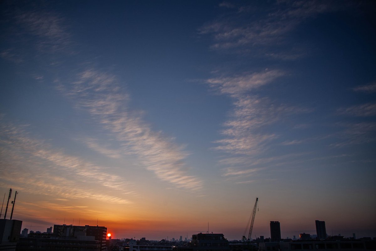 roncan0914 tweet media