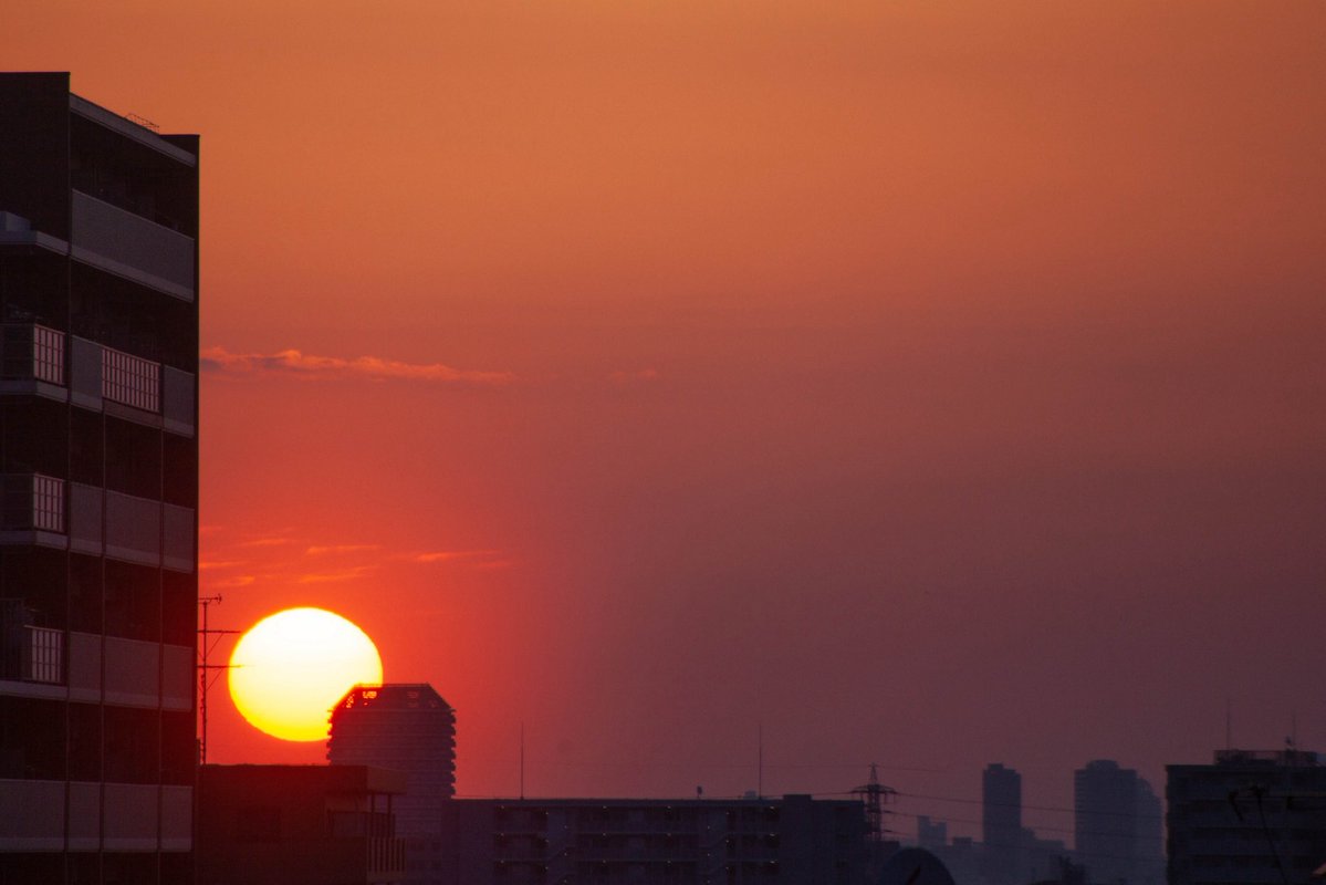 roncan0914 tweet media