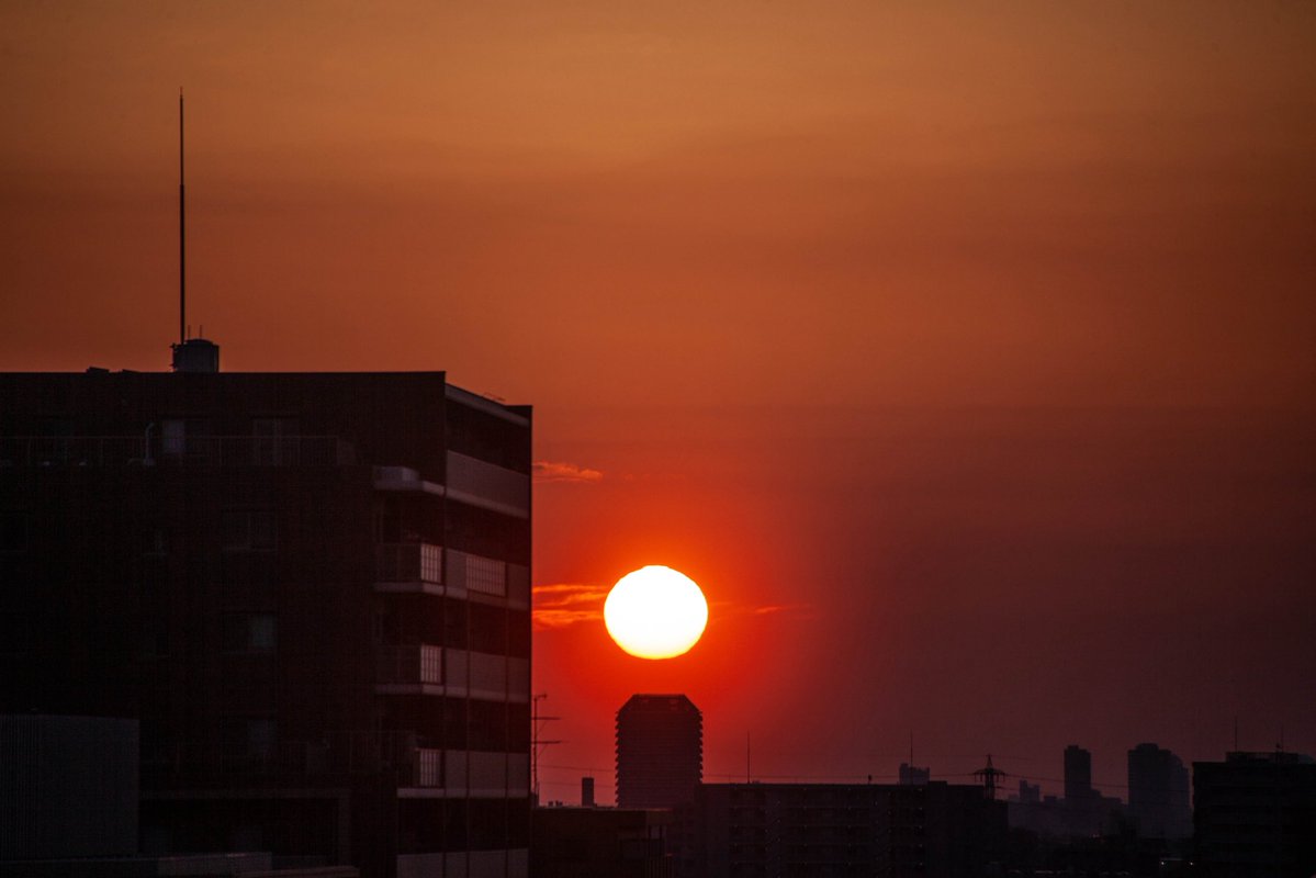 roncan0914 tweet media