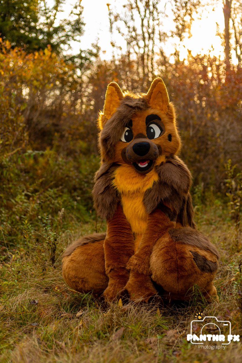 DOG BOY 🐾 🔜 Bewhiskered Artist Alley! tweet media