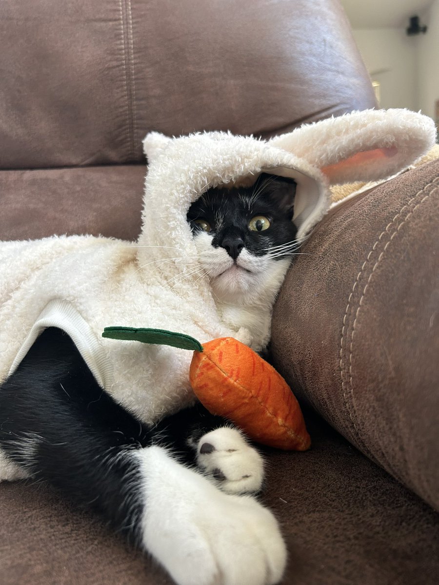 haley || ✧ ❨ tweet media