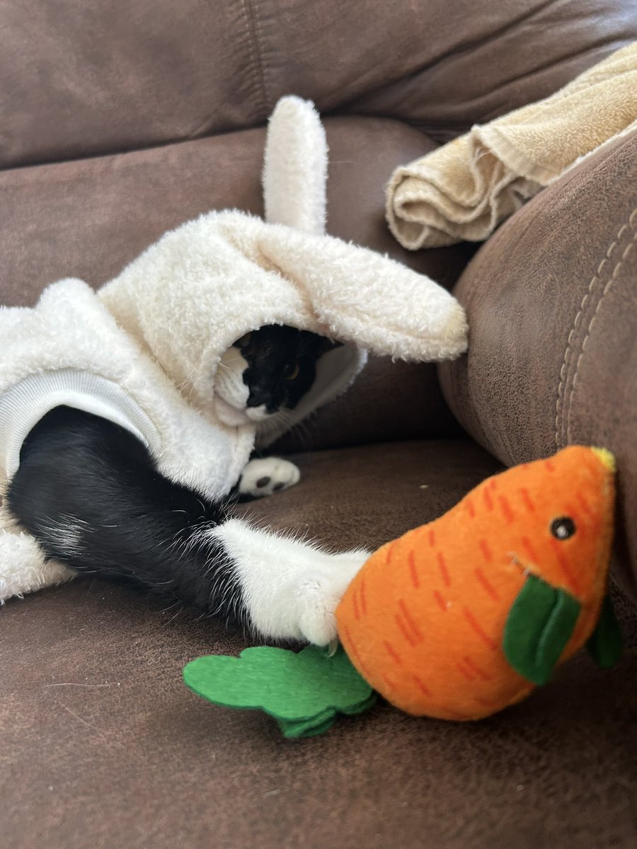 haley || ✧ ❨ tweet media