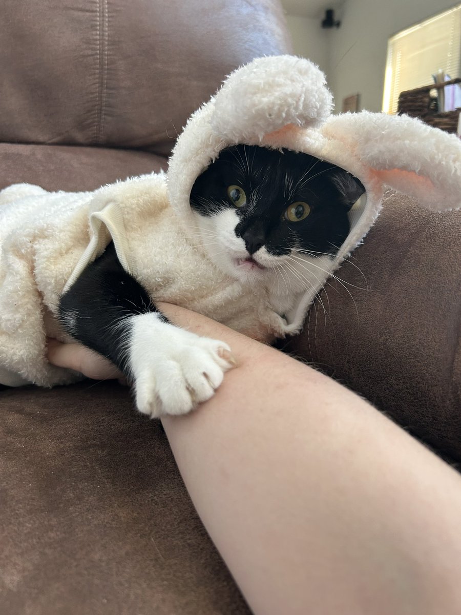 haley || ✧ ❨ tweet media