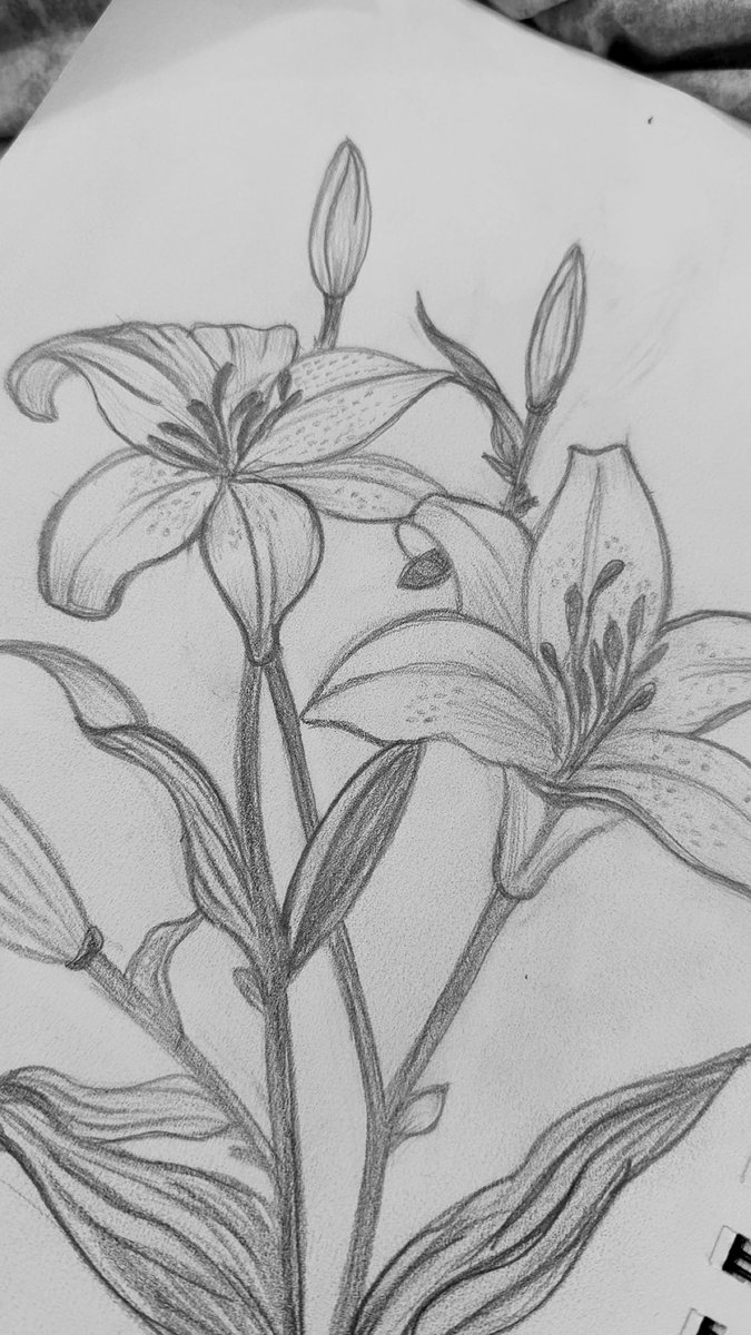 🇦🇪𓆩𝓝𝓸𝓷𝓪 𝓐𝓵𝓺𝓾𝓫𝓪𝓲𝓼𝓲 𓆪🇦🇪 tweet media