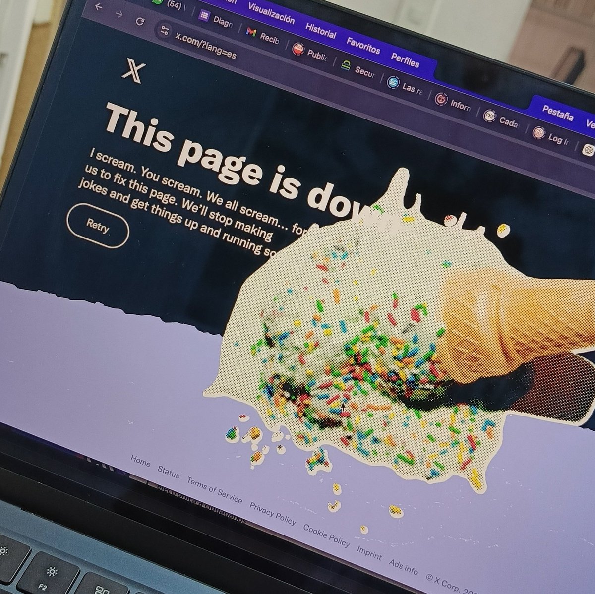 Sofía Torres 💚 tweet media