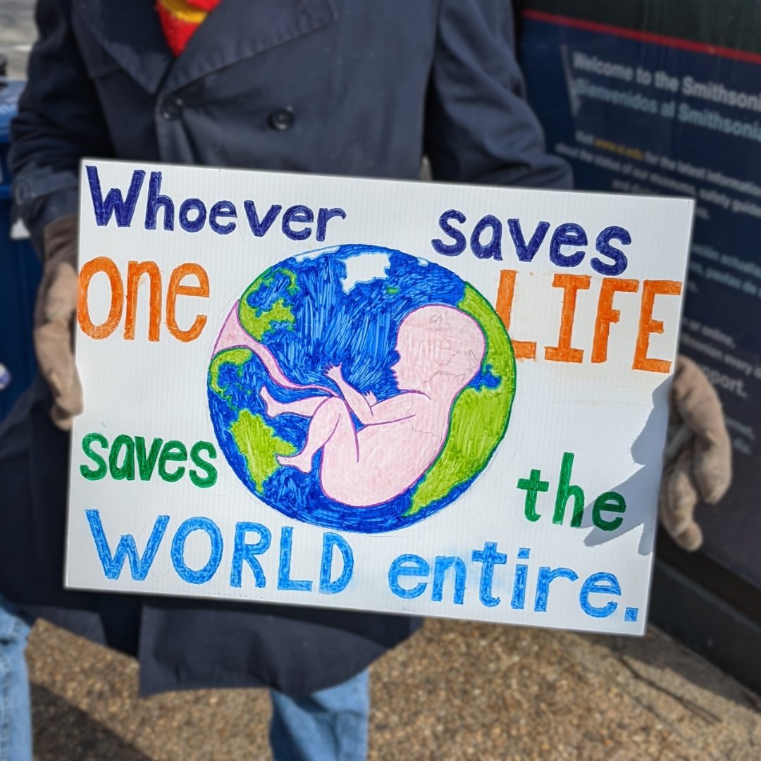 Secular Pro-Life tweet media