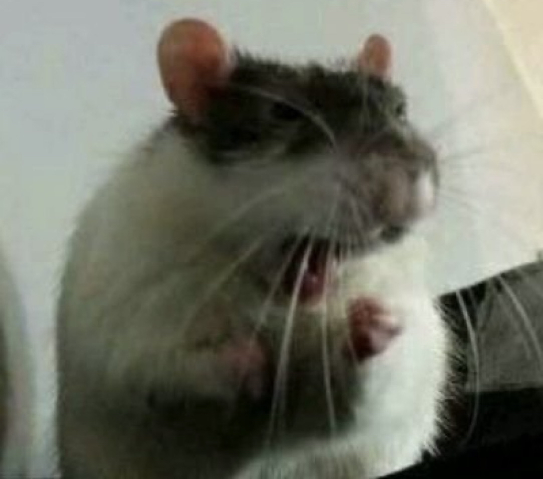 El Guarromántico tweet media