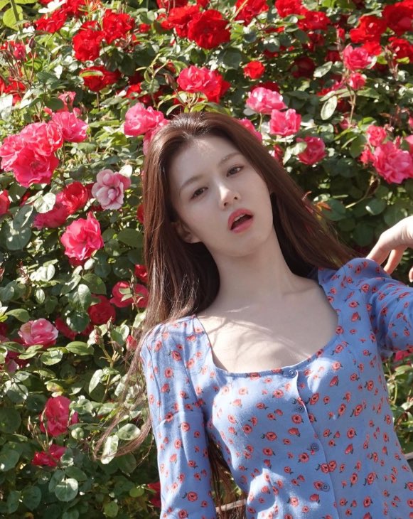 Mong2Father tweet media