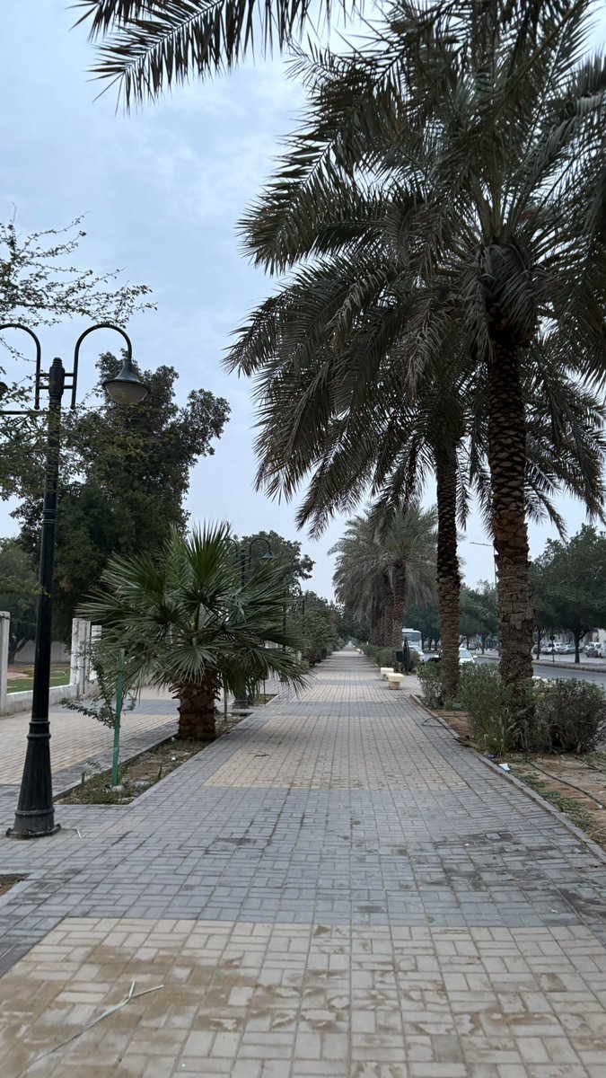 k2u5's tweet photo. 810,288 خطوة في 19 يوم من رمضان 
المجموع في رمضان مليون خطوة 
رقم جديد في شهر واحد ☝🏼 
الحمدلله وماشاء الله 🔥 https://t.co/sG1cCjiaGA