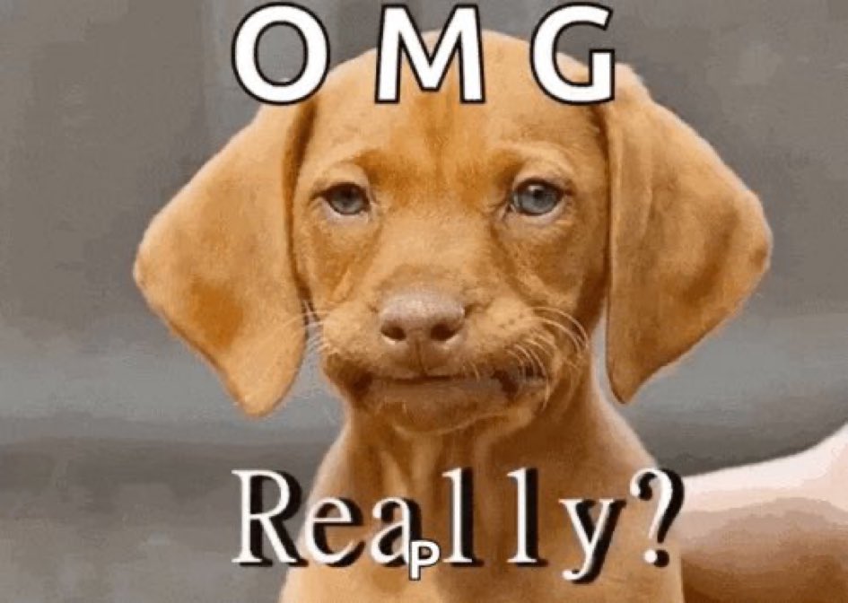 James Skorija tweet media