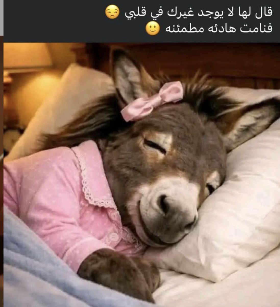 فاطمه tweet media