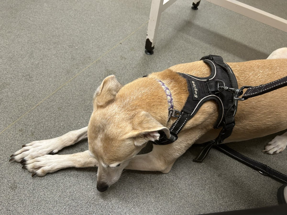 Helen Metcalfe 🩵 ⚽️👩‍⚕️ 🚴 ✝️ tweet media