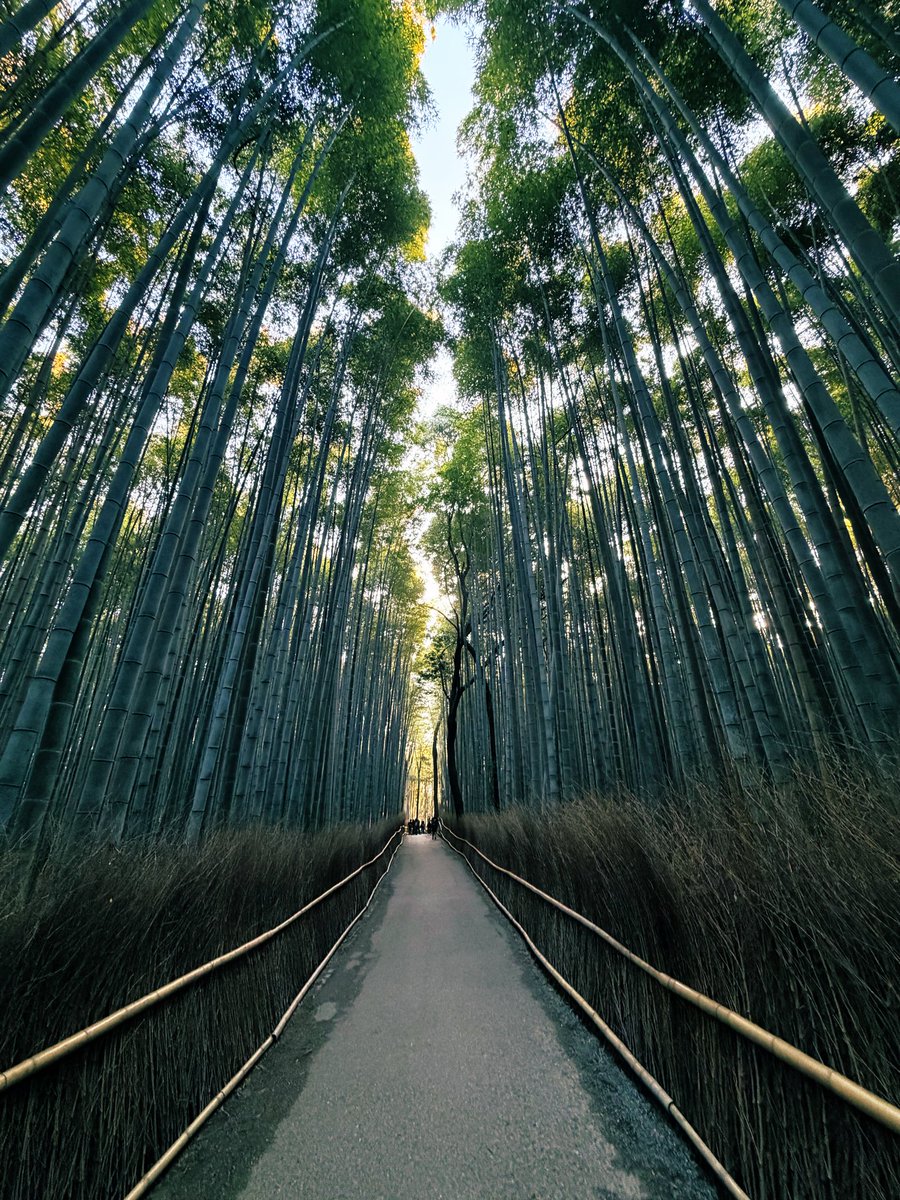 ホワイ戸＠さっぽろ tweet media