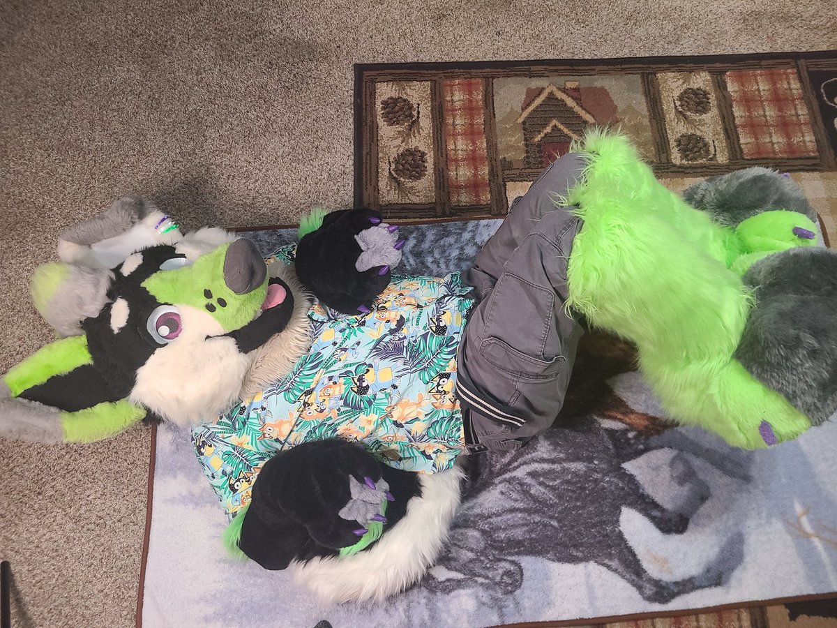 corgsky27's tweet image. It's national puppy day !!!!