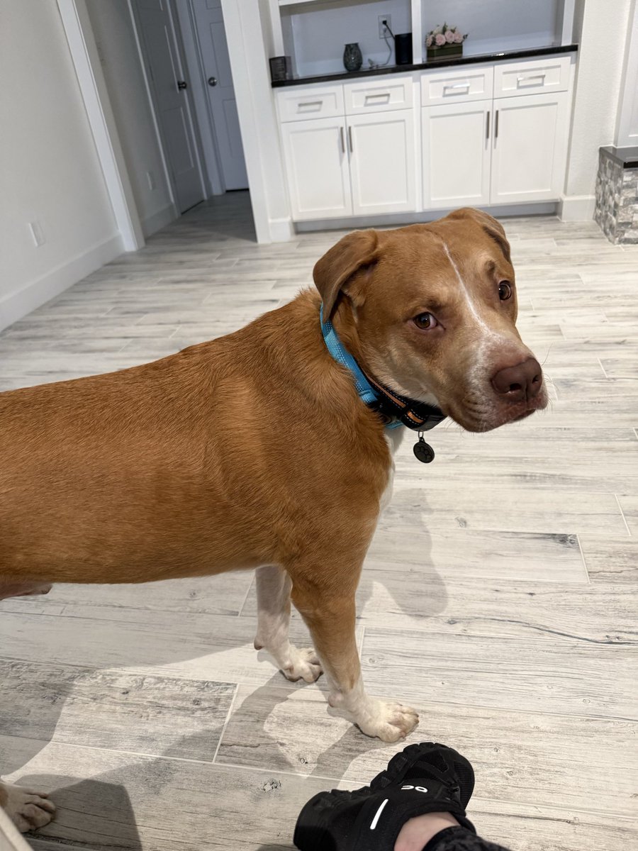 Melissa Hyde tweet media