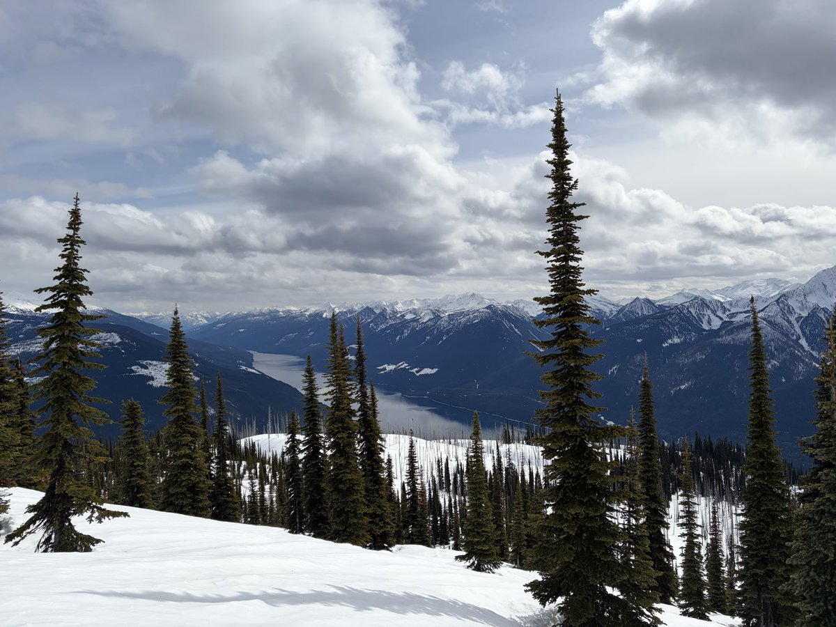 jez (equity perps era) tweet media