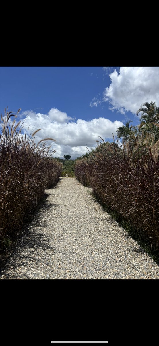 Alexa Gómez tweet media