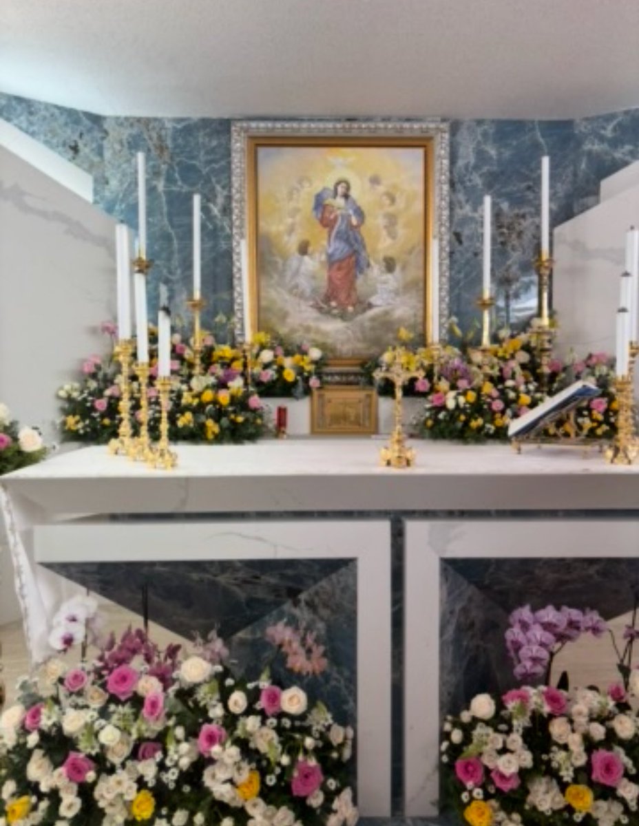 Alexa Gómez tweet media