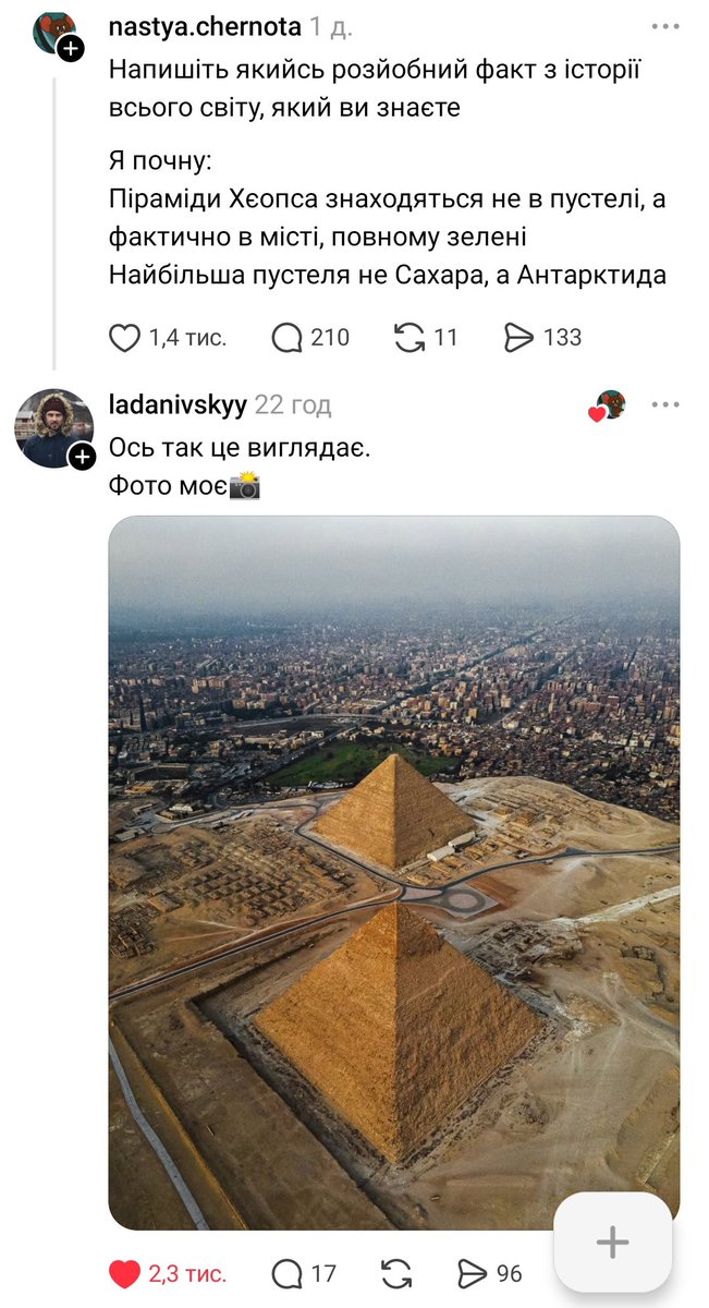 книгозалежна tweet media