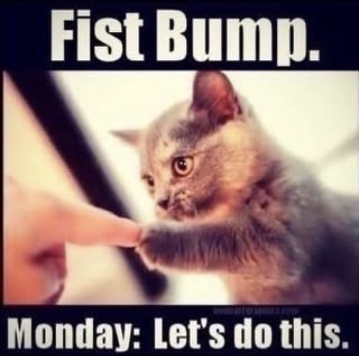 John South IV tweet media