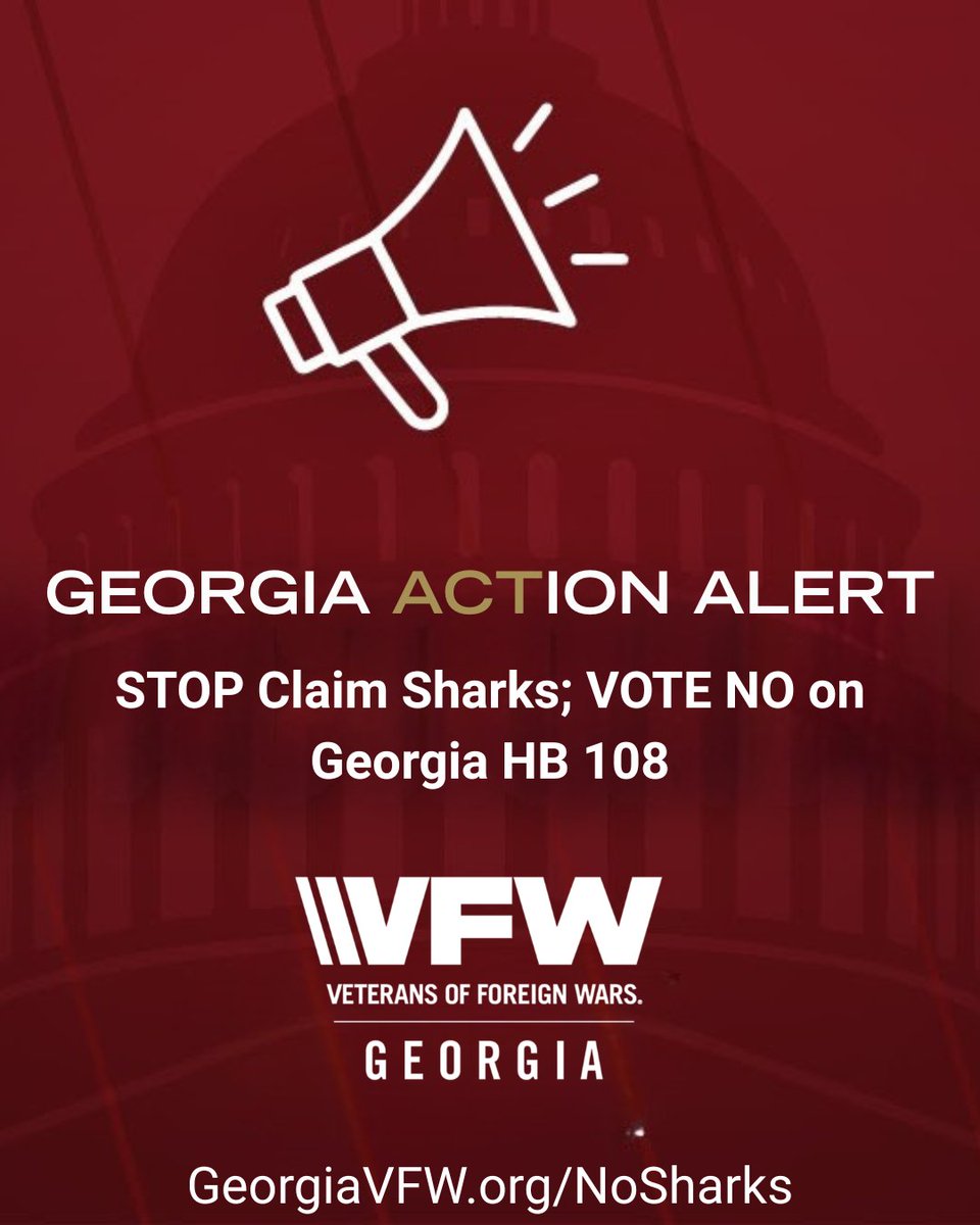 VFW Dept of Georgia tweet media