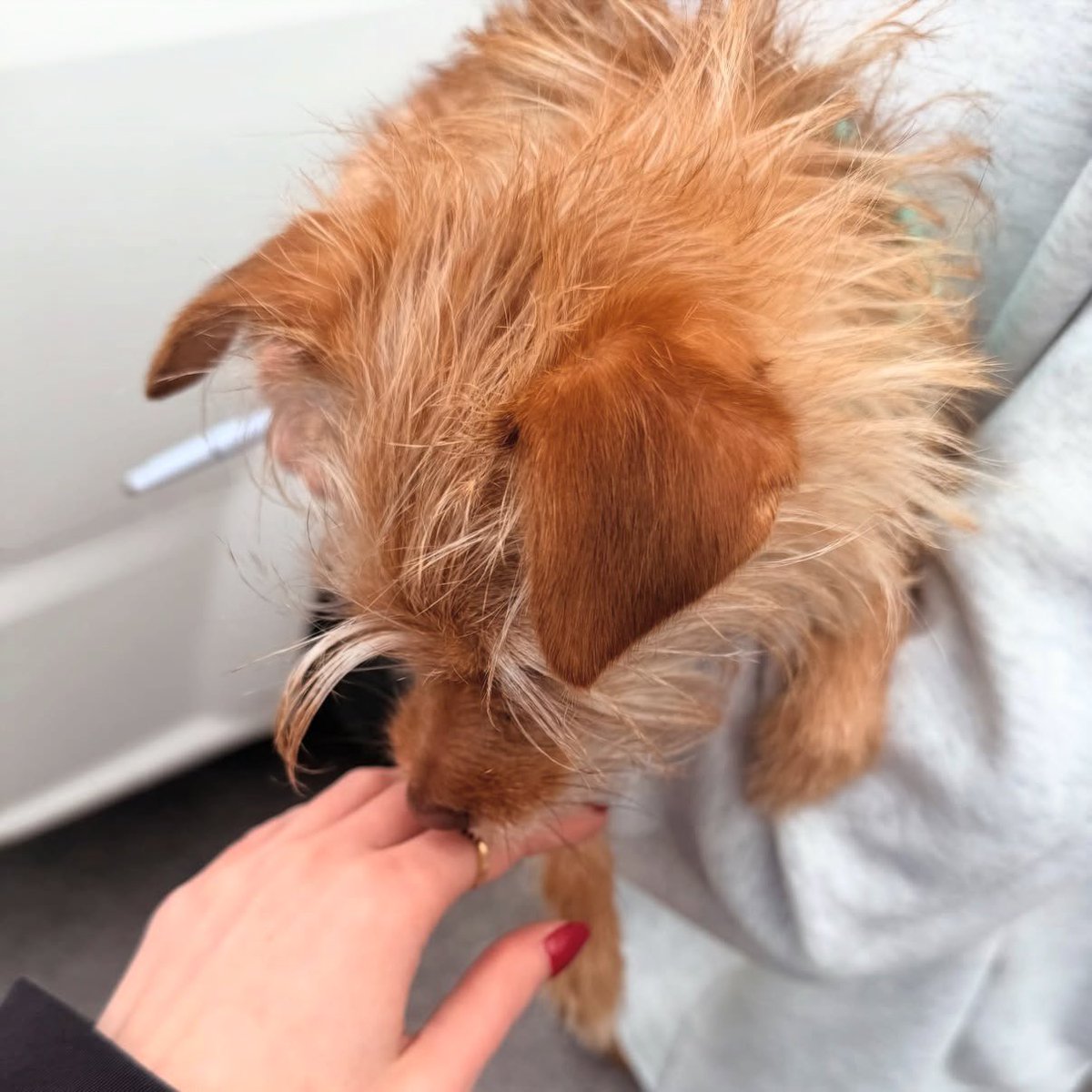 Laura Shadle tweet media