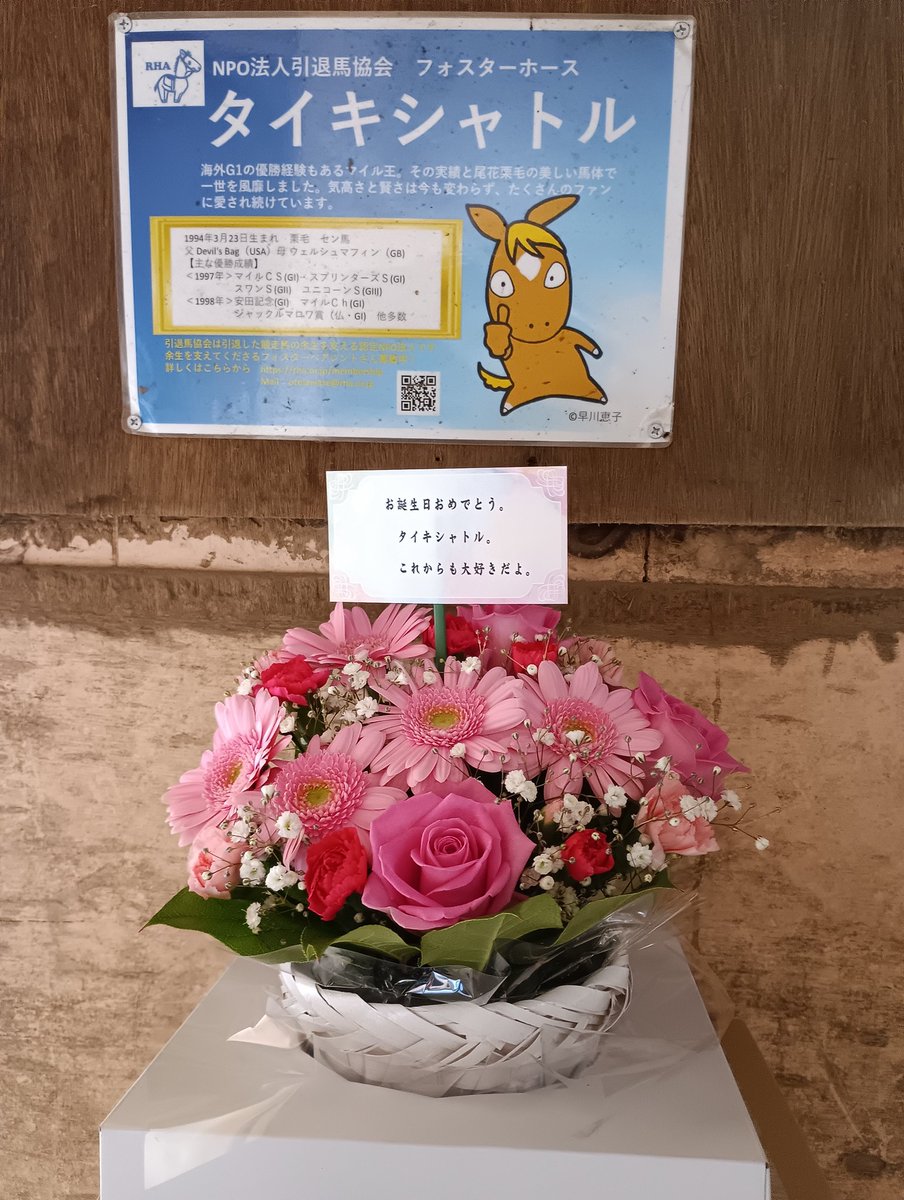 Northern Lake🐴クラファンご支援ありがとうございました‼️ tweet media