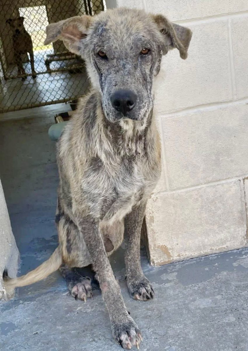 Cheryl Ramirez tweet media