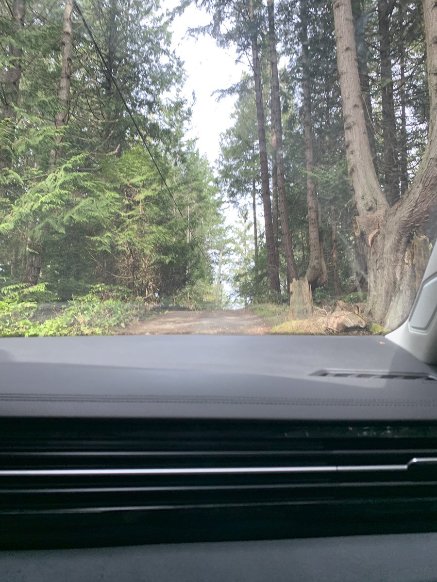 🐰⚡️ kels tweet media