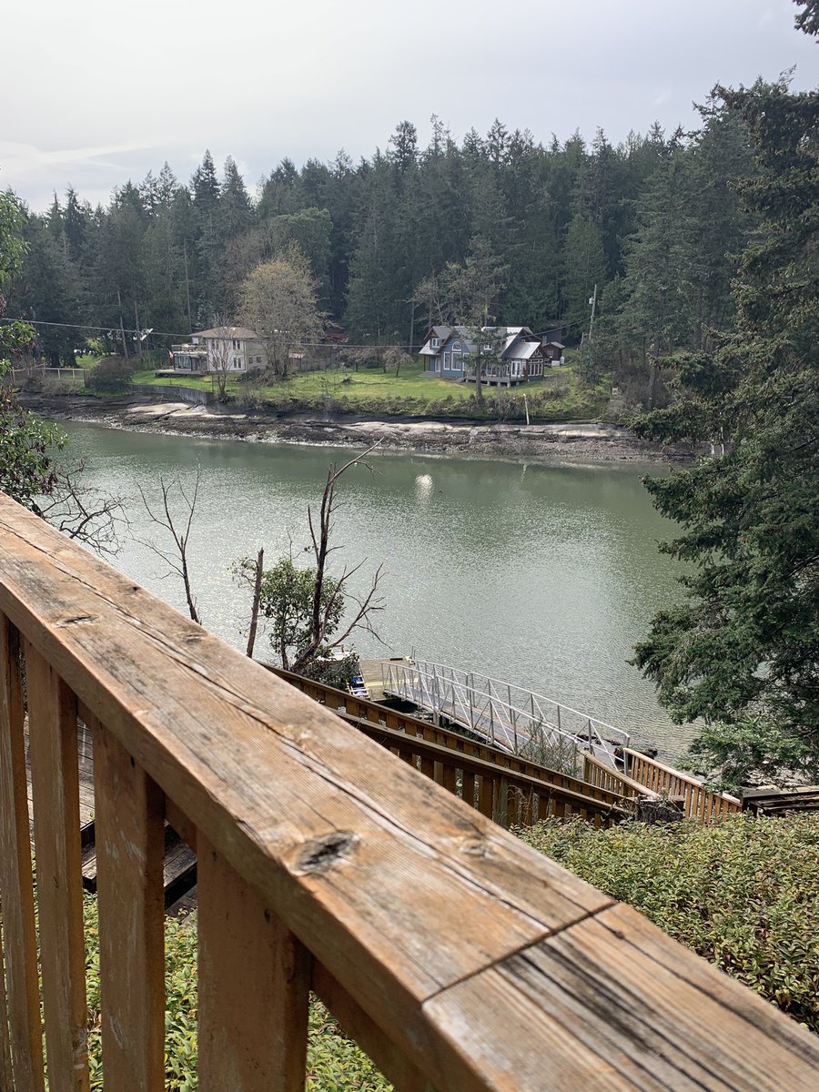 🐰⚡️ kels tweet media