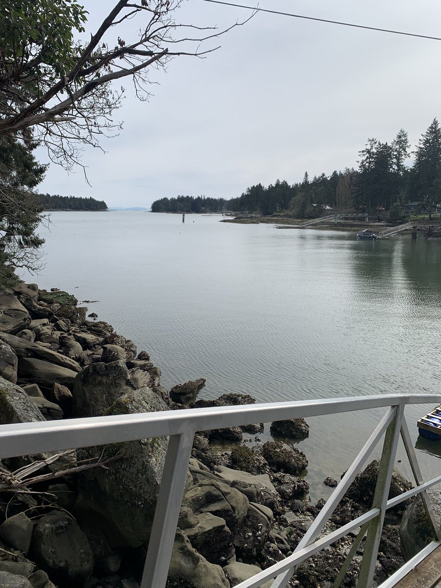 🐰⚡️ kels tweet media