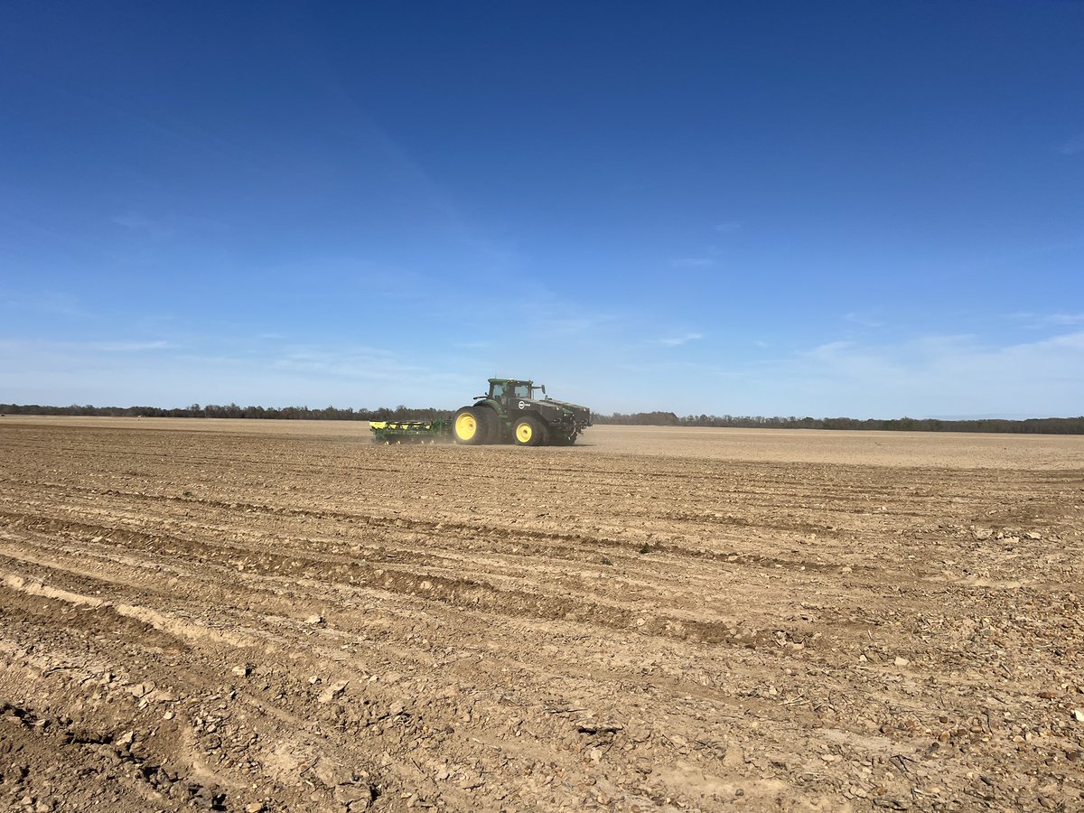 Tyne Morgan tweet media