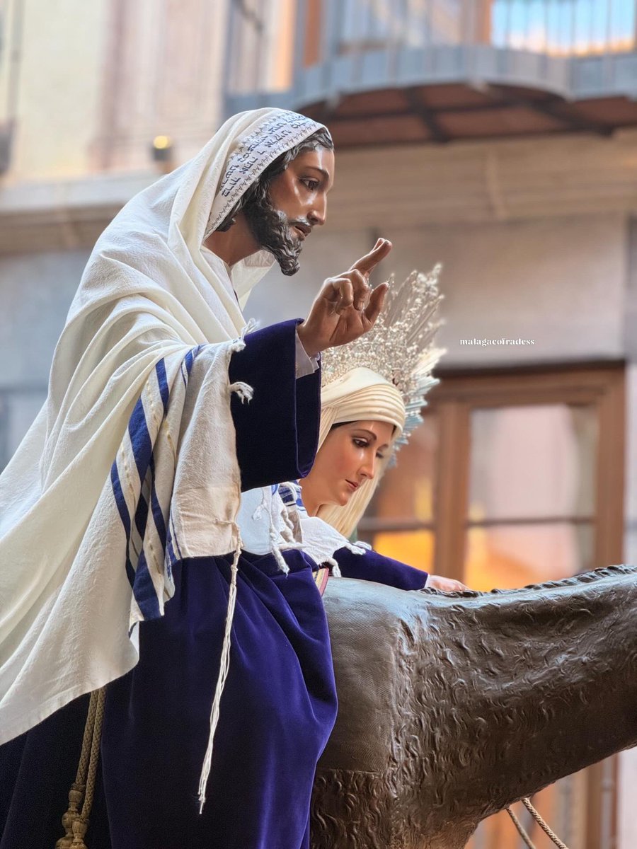 📸 Traslado Pollinica 
<a href="/pollinicamalaga/">Cofradía Pollinica</a> 
#CofradíasMLG