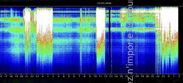 Reine des prés 👸🏻🎲🌾 tweet media