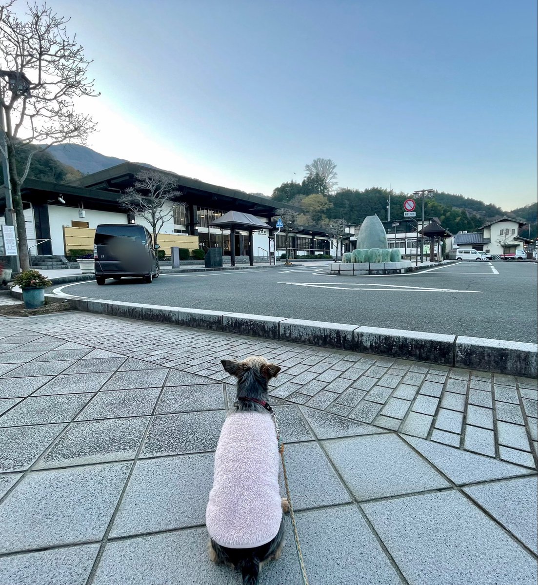 甲州みやげ 永谷屋 tweet media