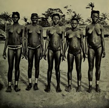 Ade Omojola tweet media