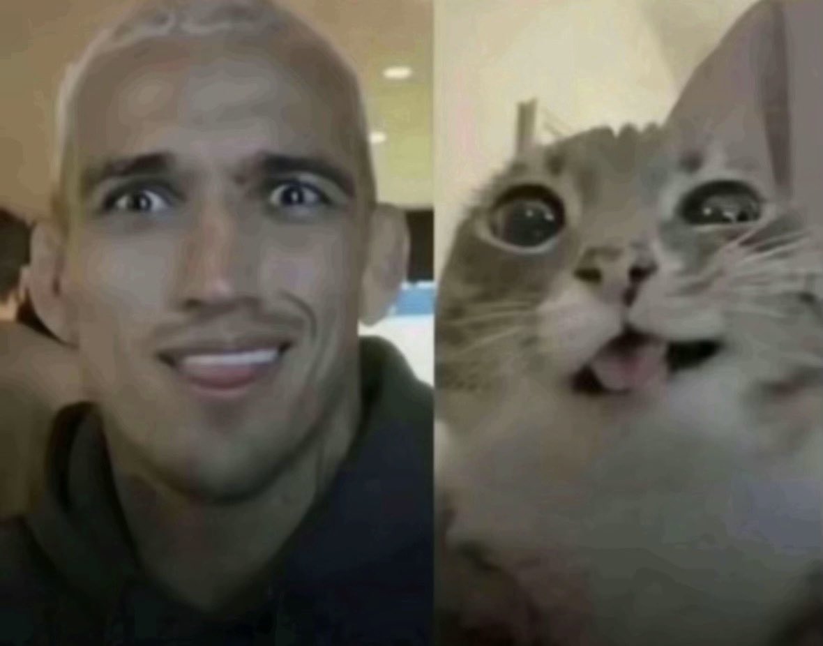 فَيْصَل tweet media