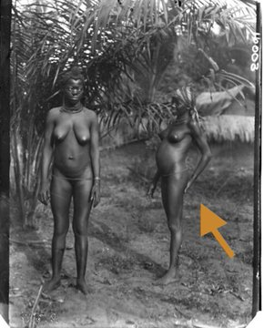 Ade Omojola tweet media