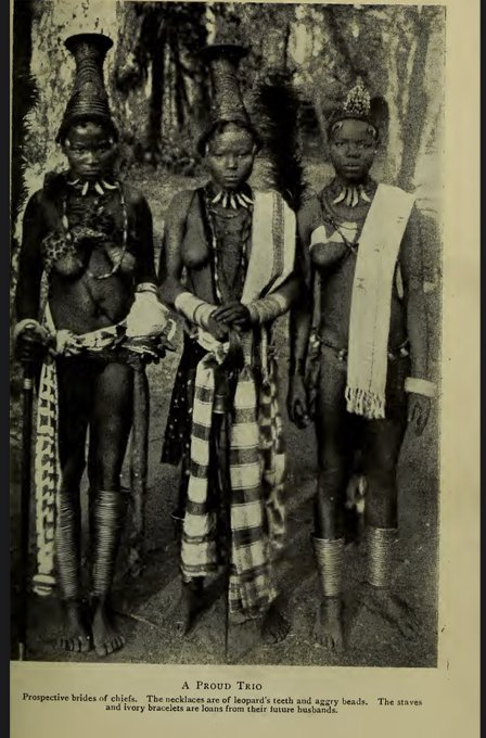 Ade Omojola tweet media