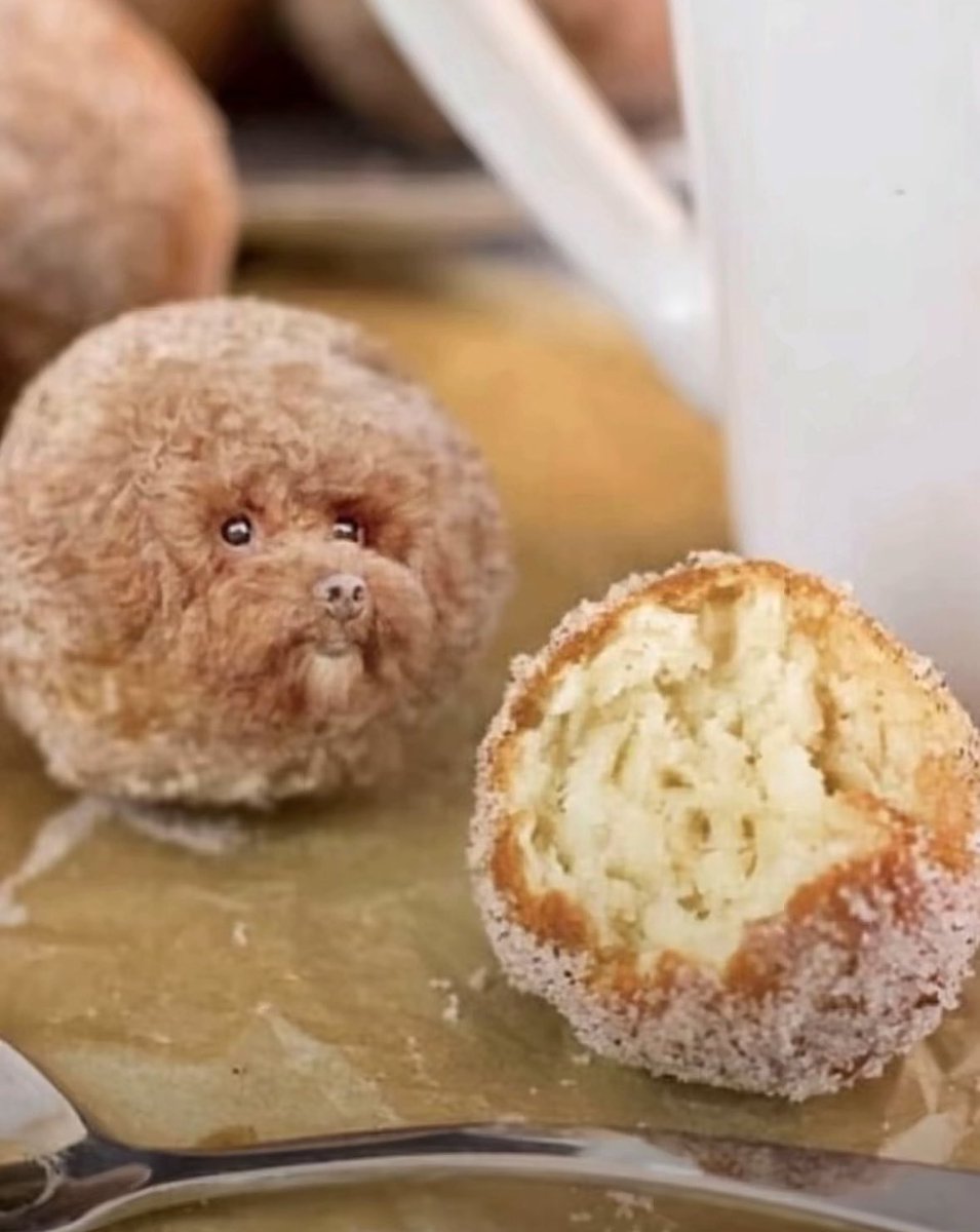 killua sama🐈‍⬛ tweet media